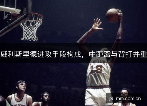 威利斯里德进攻手段构成，中距离与背打并重